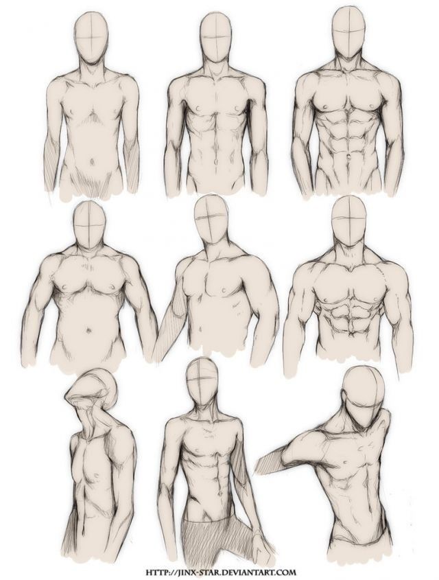 640x845 Male Upper Body Reference's Art Tutorials Art