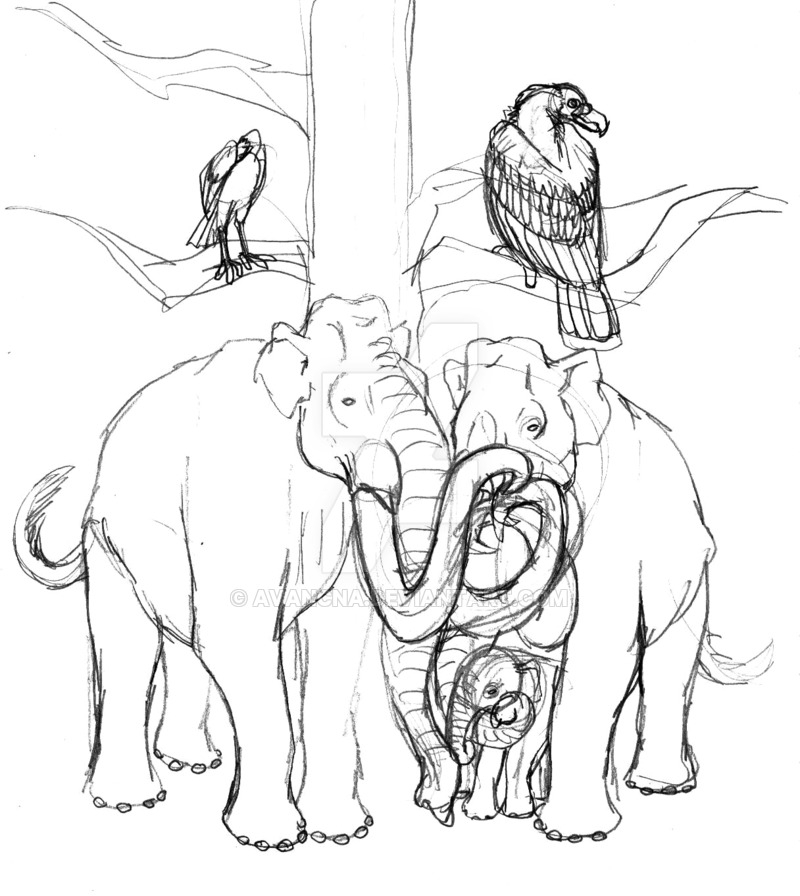 800x896 Sketch Imperial Mammoth 3 By Avancna