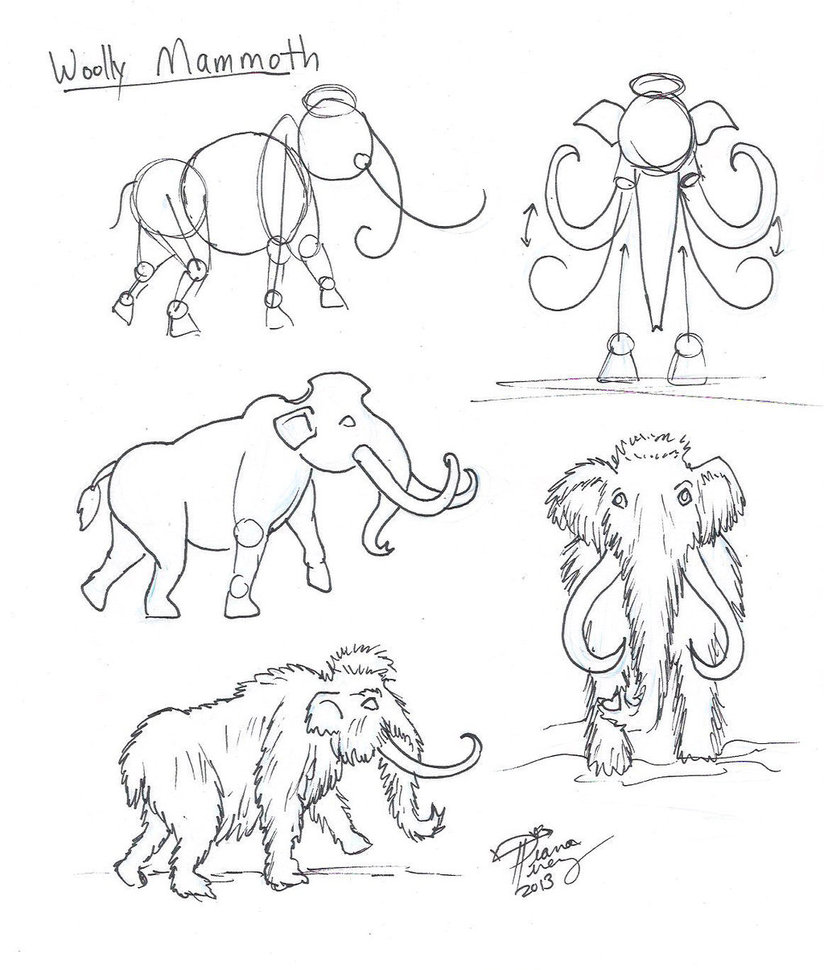 824x970 Draw A Woolly Mammoth By Diana Huang