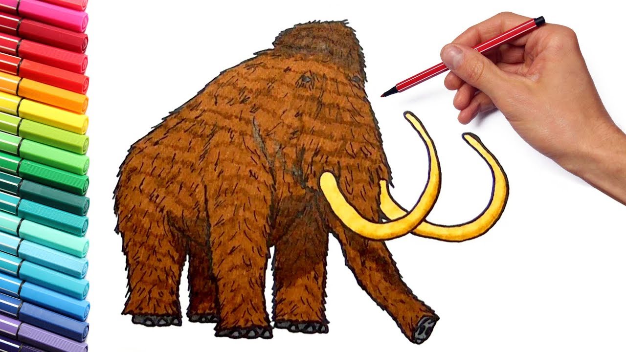1280x720 Drawing And Coloring A Mammoth