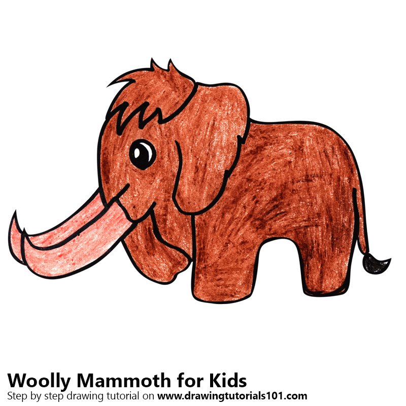 800x800 Learn How To Draw A Woolly Mammoth For Kids (Animals For Kids