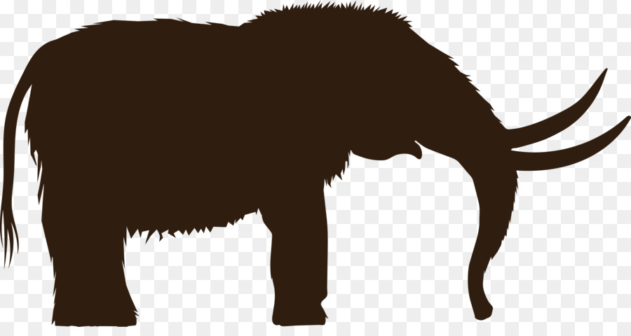 900x480 Woolly Mammoth Drawing Mastodon Clip Art
