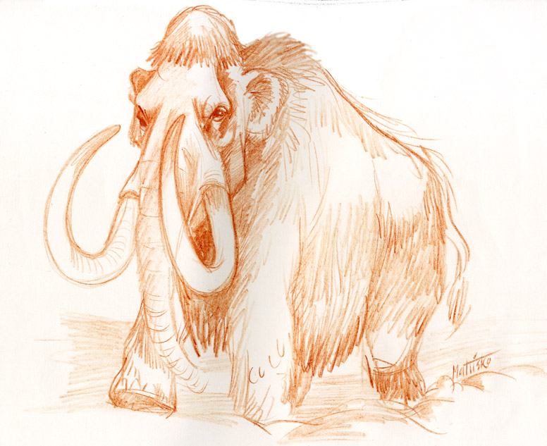 776x633 Wooly Mammoth By Sedeslav