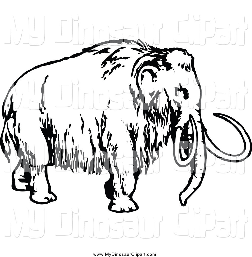 1024x1044 How To Draw A Mammoth Step 8 For Kids Tearing Drawing Thatswhatsup