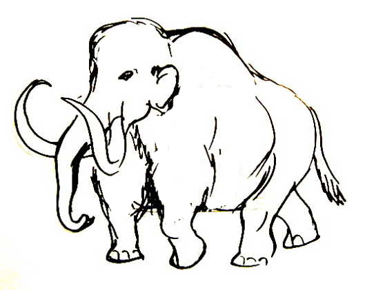 529x421 How To Draw A Mammoth Step By Step