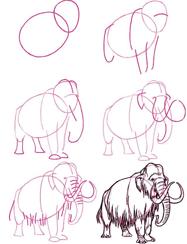 640x835 How To Draw A Mammoth Drawthings Drawings, Animal