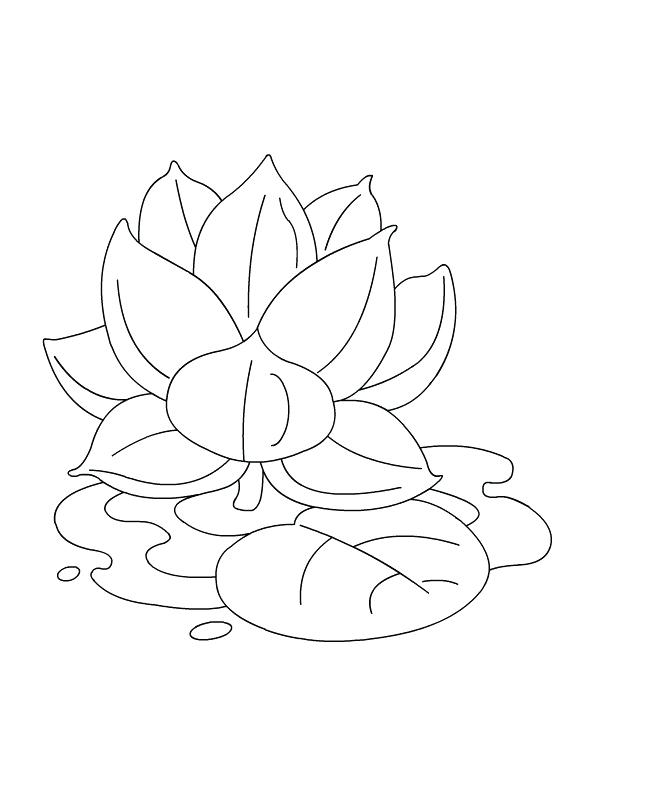 662x786 Lotus Coloring Pages Ideas Collection Printable Lotus Flower