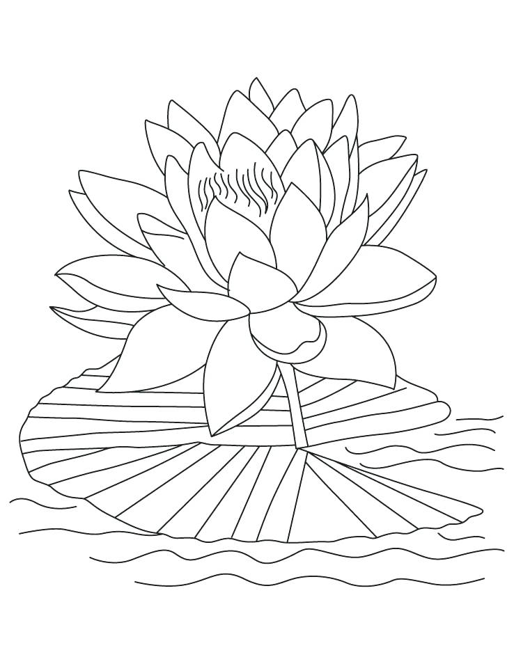 738x954 Lotus Flower Mandala Coloring Pages Printable Drawing Batch
