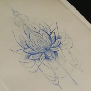 320x320 Realistic Lotus Flower Drawings