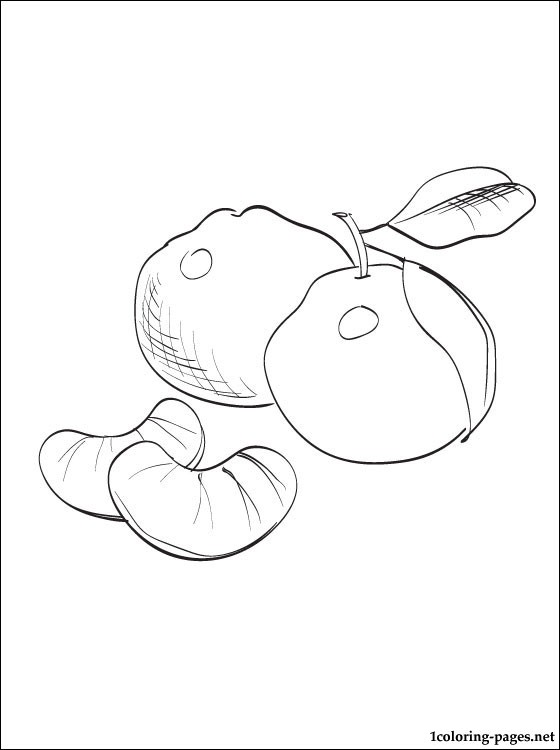 560x750 Mandarin Coloring And Printable Page Coloring Pages
