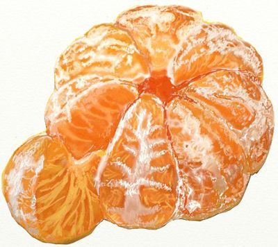 400x356 Realistic Fruits Drawing Sketch Food