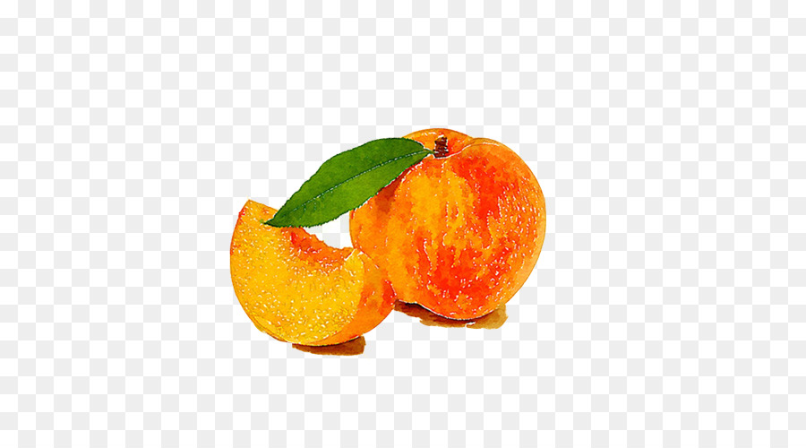 900x500 Watercolor Painting Drawing