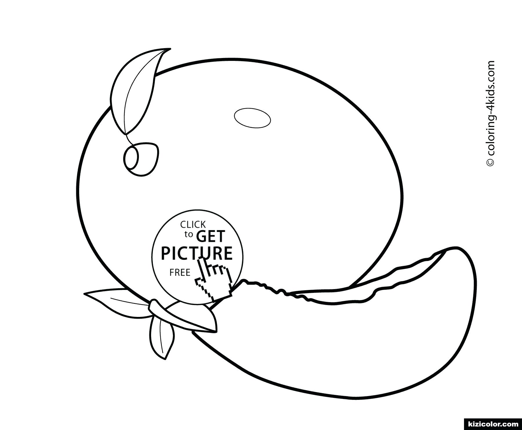 1800x1483 Mango Fruits Coloring Page Coloring Page Mango Coloring Pages