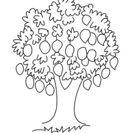 268x268 Mango Tree Coloring Page Kids Drawing And Coloring Pages
