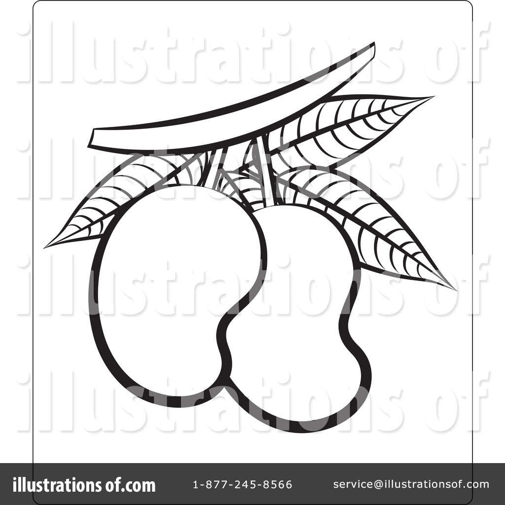 1024x1024 Drawing Sketch Of Mango Mango Clipart