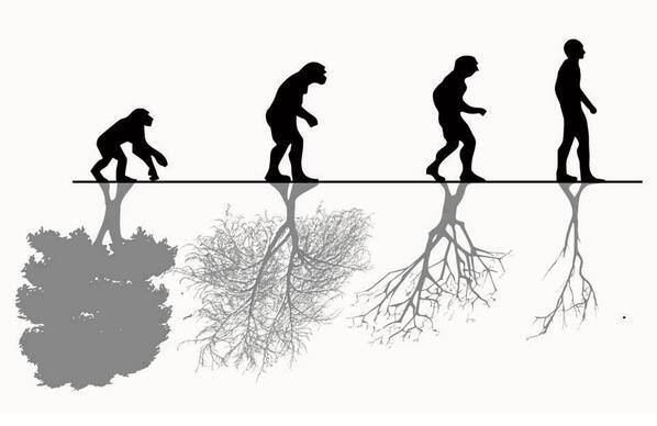598x388 Evolution Of Mankind, Devaluation Of Nature.