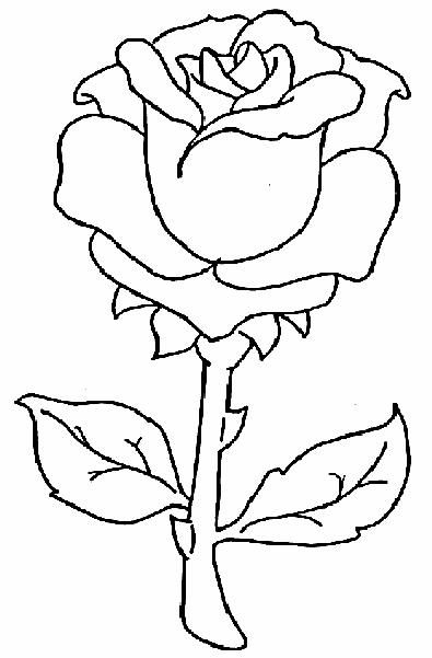 395x601 Rose Drawings Simple Line Floral Rose Drawings
