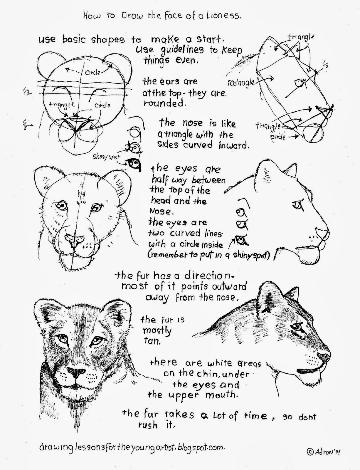 1226x1600 How To Draw Animals. Many Listed. Great For Drawings Of All Sorts