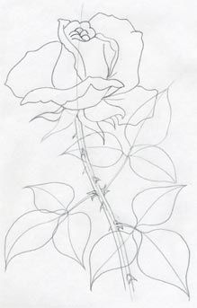 219x343 How To Draw A Rose By Candice Art Tips Rose