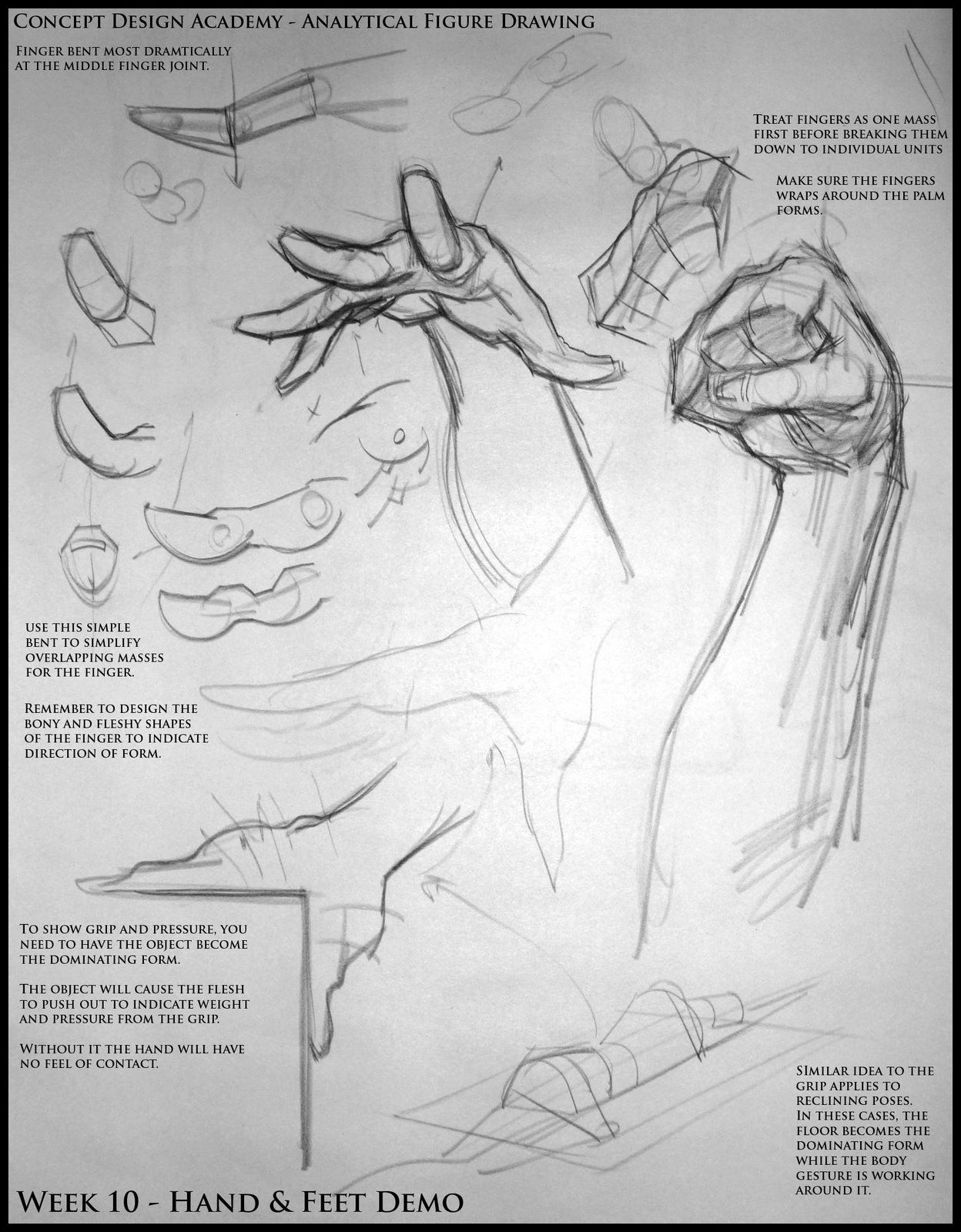 1248x1600 Pin By Ekaterina Golovanova On Anatomy