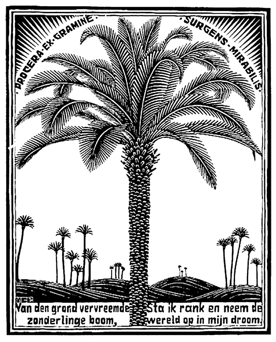 968x1200 M.c. Escher