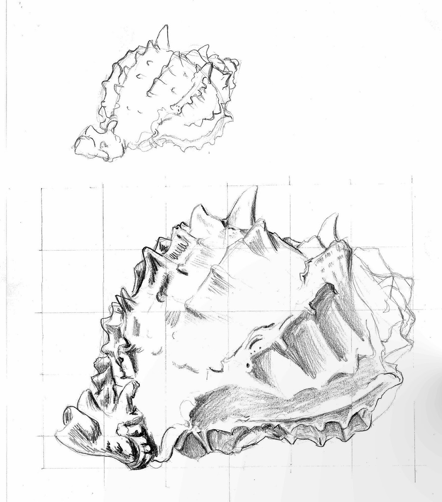 1410x1600 Inky Phalangies Thoughts Shells