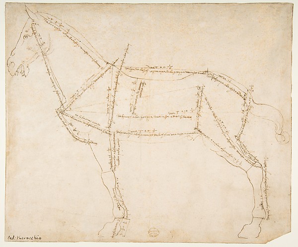 600x497 Andrea Del Verrocchio Measured Drawing Of A Horse Facing Left