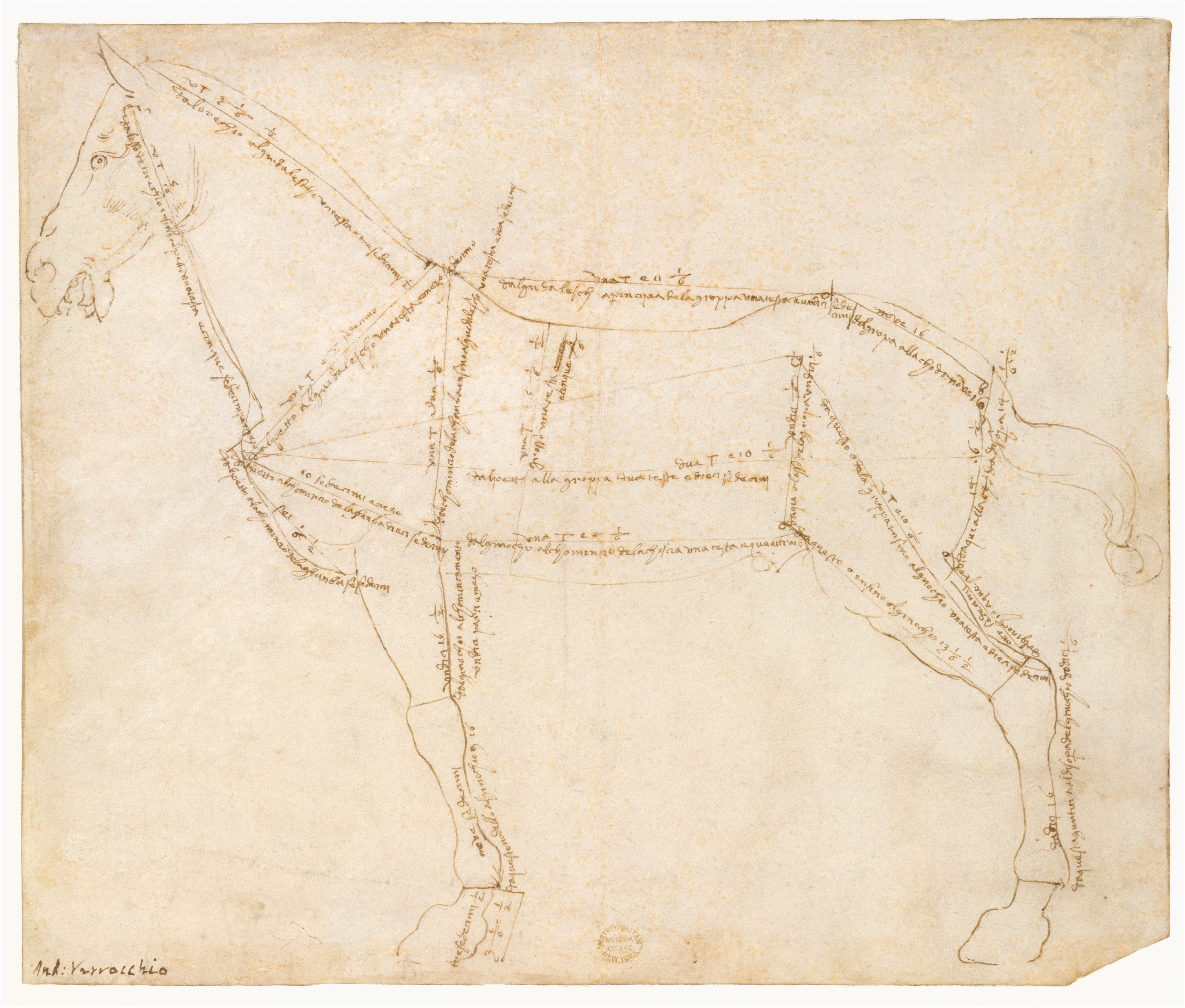 3799x3233 Filemeasured Drawing Of A Horse Facing Left (Recto). Met Dt620
