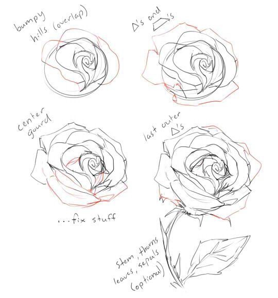 540x580 Anatoref How To Draw A Rose Art References