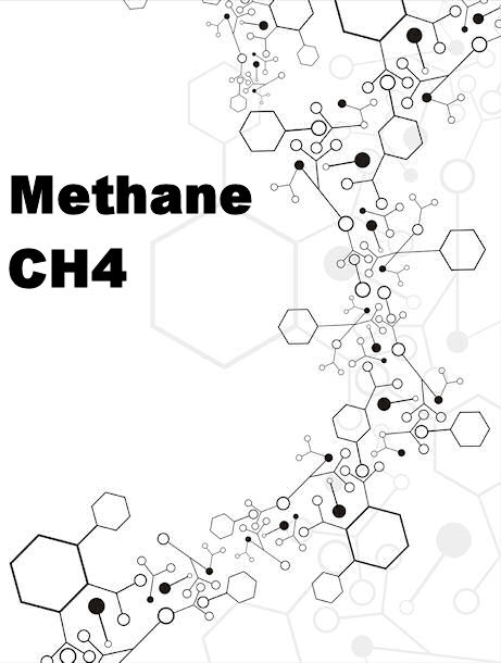 461x610 Methane Calibration Gas