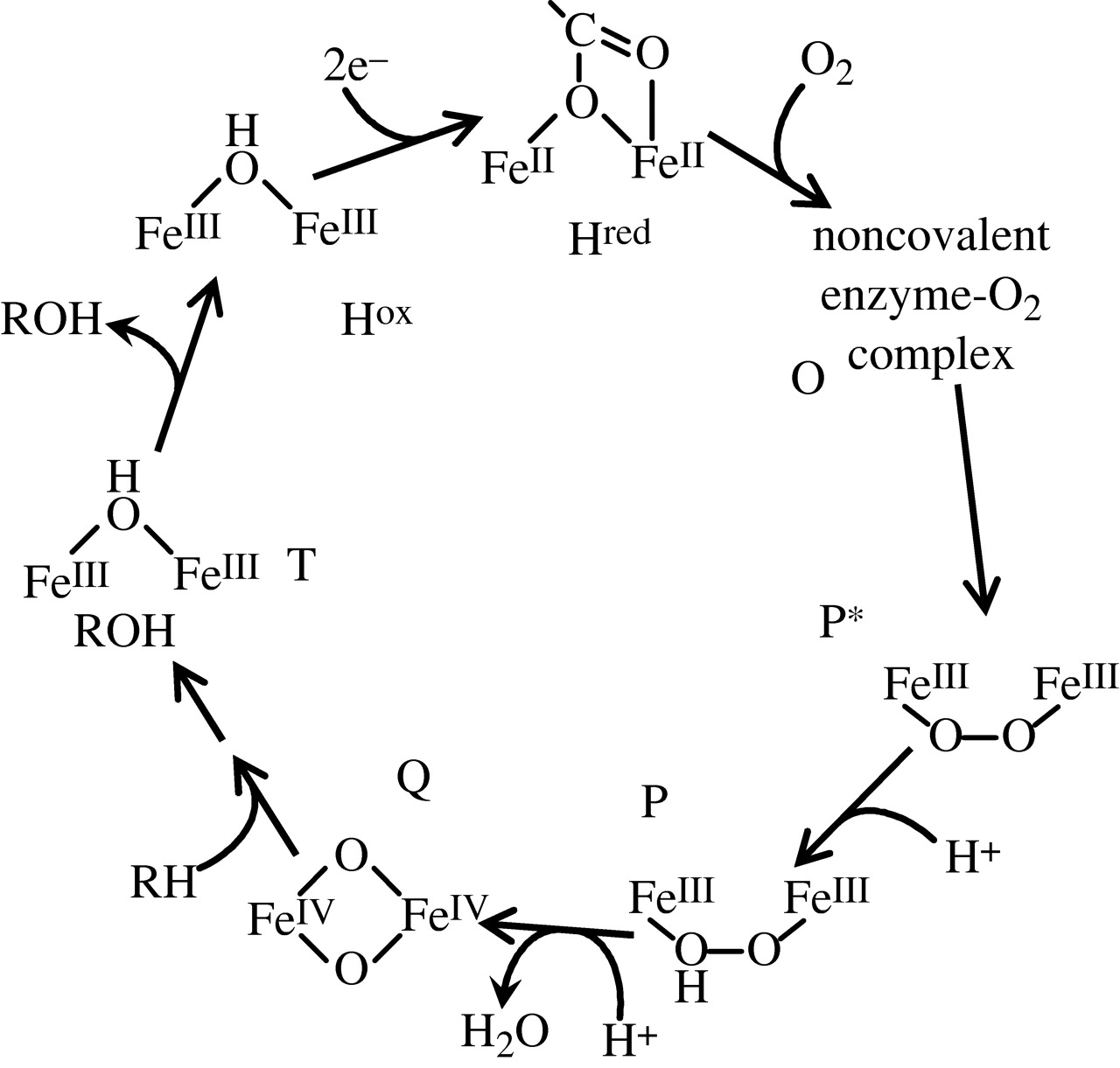 1280x1221 The Leeuwenhoek Lecture 2000 The Natural And Unnatural History