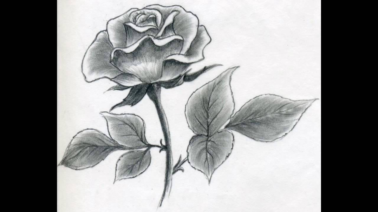 1280x720 How To Draw A Rose