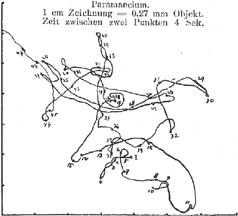 477x433 Example Of Przibram's Motility Data, A Trajectory Of A Protozoon