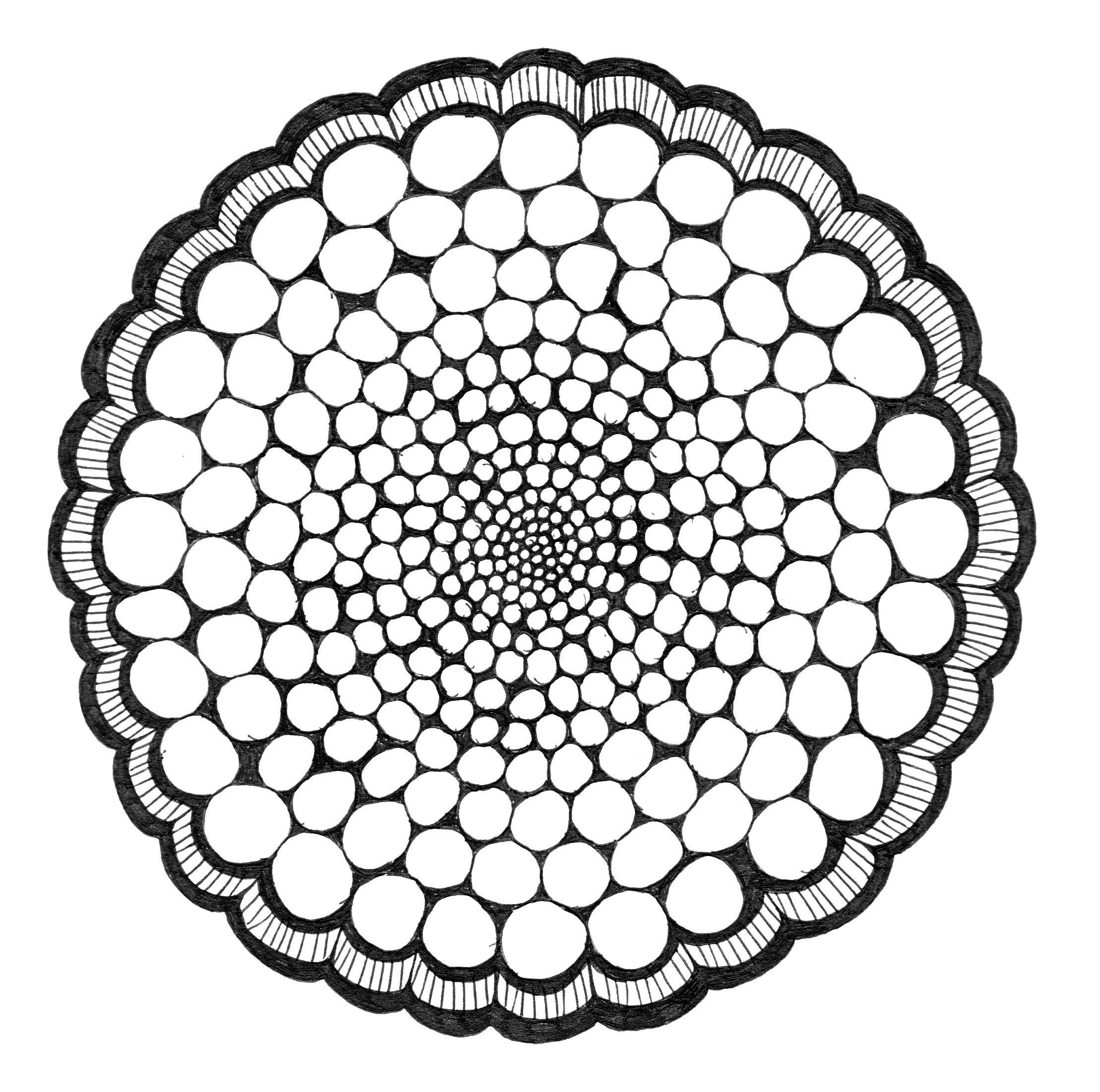 2218x2203 Mexican Flowers