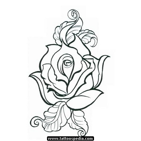 480x480 Collection Of Traditional Rose Drawing Outline High Quality