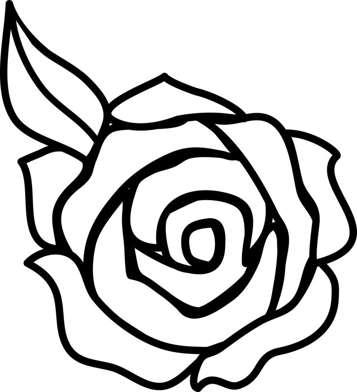 736x807 Roses Cartoon Group