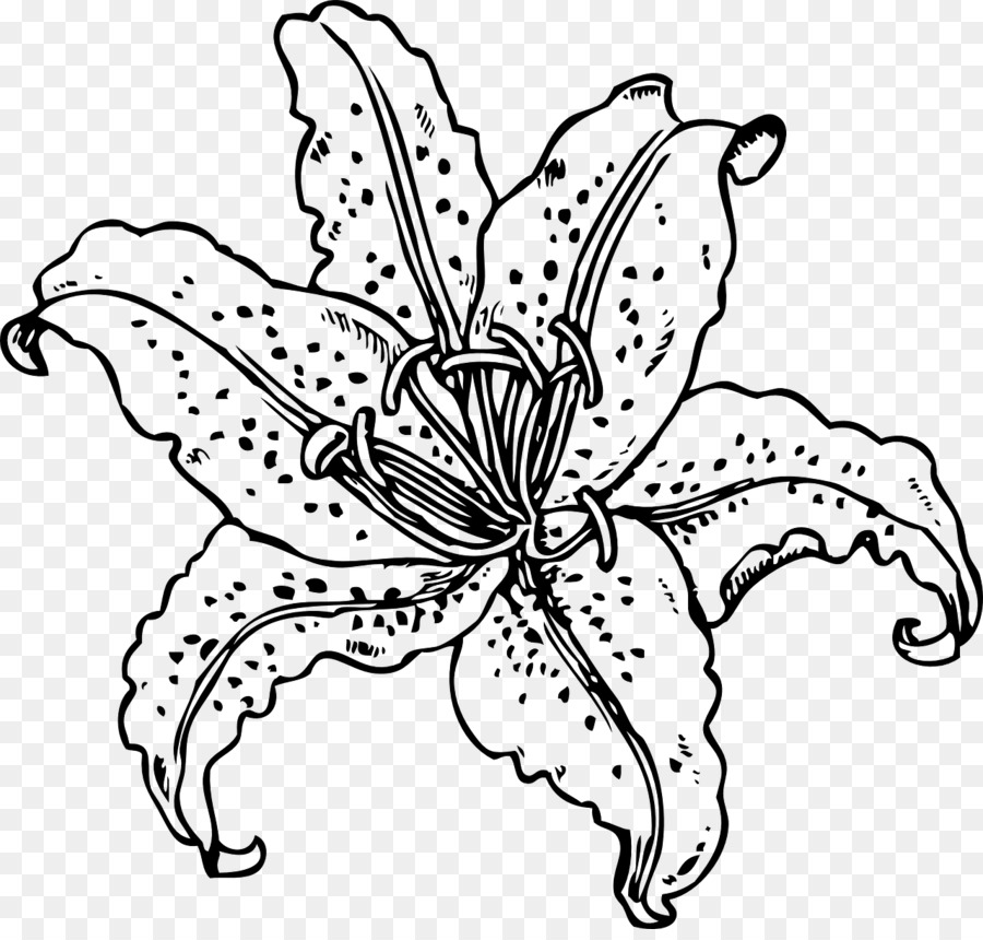 900x860 Tiger Lily Coloring Book Flower Easter Lily Clip Art