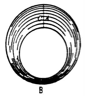 295x332 Microscope Frames Sing