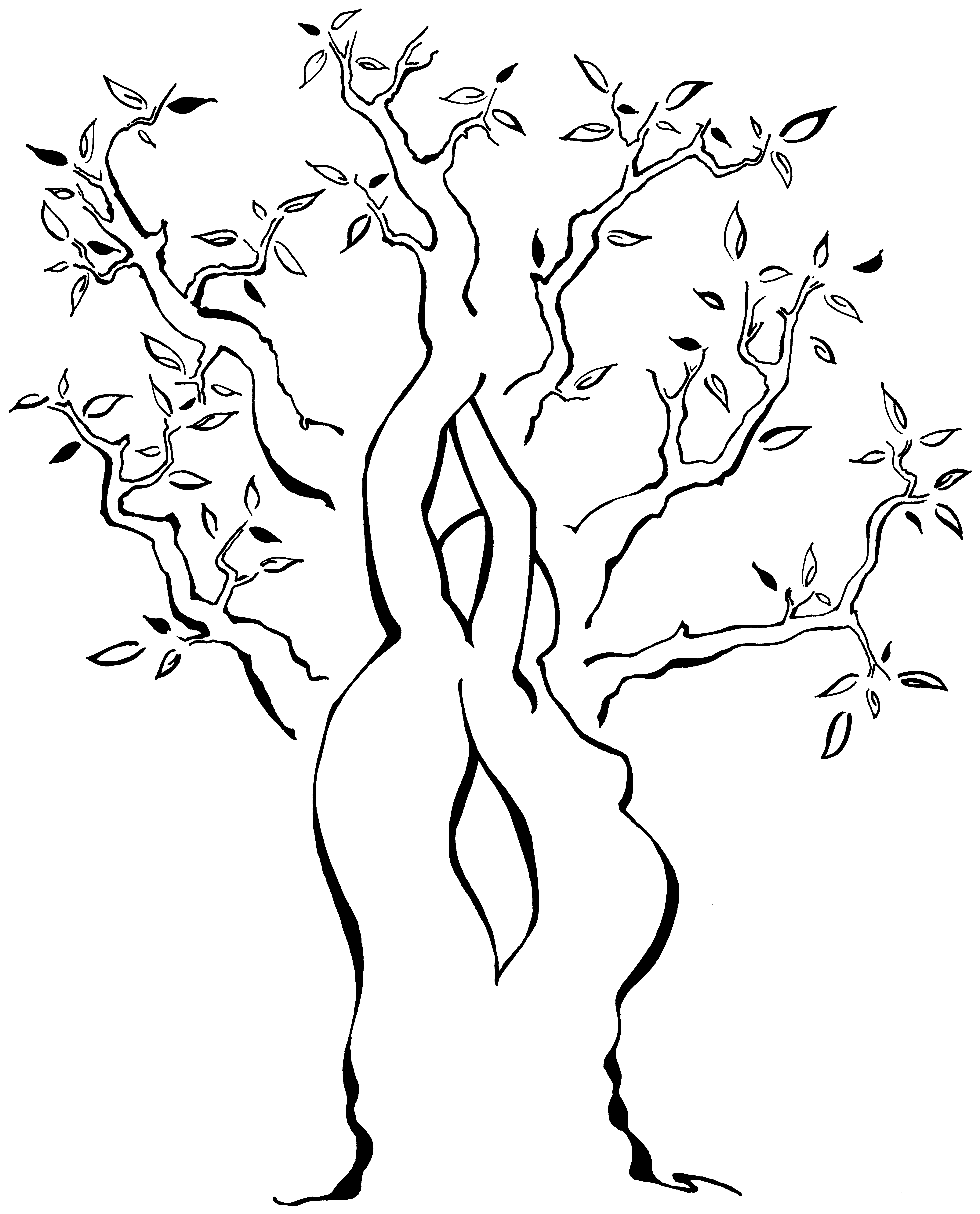 5170x6401 Quiet Earth Midwifery +1(530) 520 8682 Webdirecting.biz Mountain