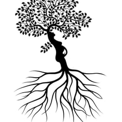 250x250 Tree Of Life Midwifery Services