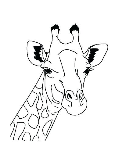 400x518 Free Coloring Pages Acacia Tree Coloring Page Coloring Page