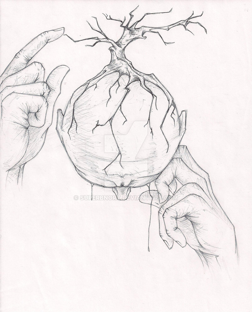 802x995 Growing Mind By Superbnort