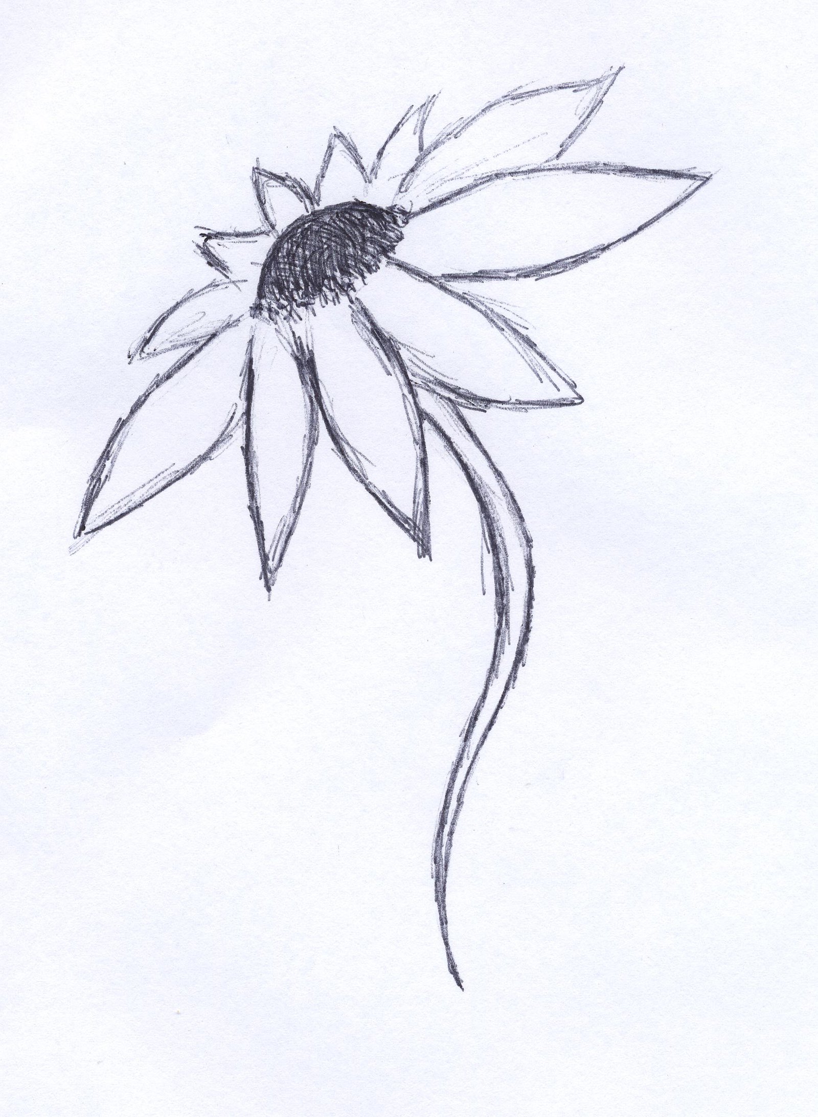 1600x2185 Minimalist Flower By Rahul B