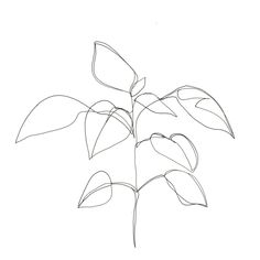 236x236 Original Abstract Minimalist Drawing Original Botanical