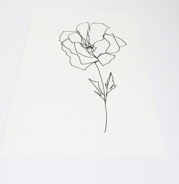 570x585 Original Botanical Drawing Minimalist Flower Drawing
