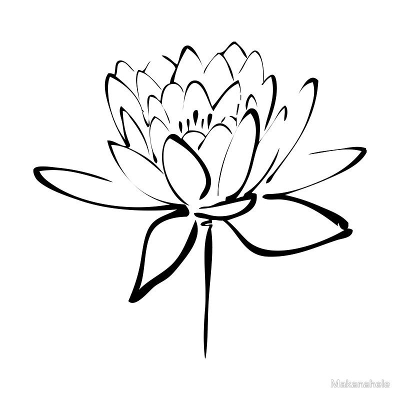 800x800 Minimalist Flower Drawing