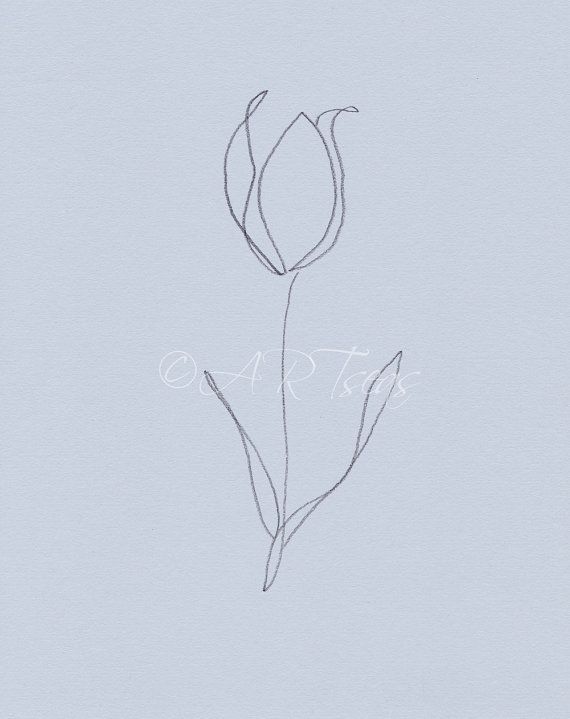 570x719 Original Botanical Drawing Minimalist Flower Drawing Abstract
