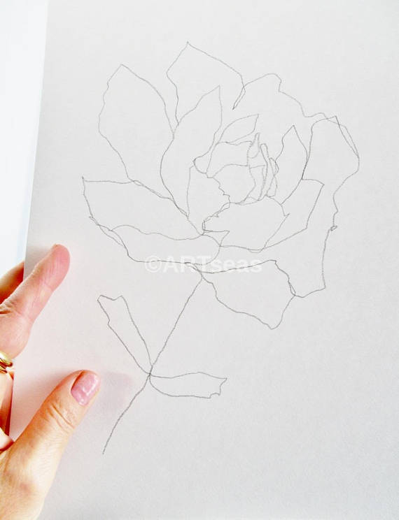 570x744 Original Botanical Drawing Minimalist Flower Drawing