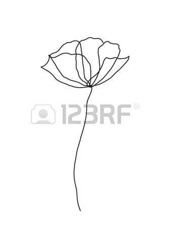 337x450 Drawn Poppy Minimalist