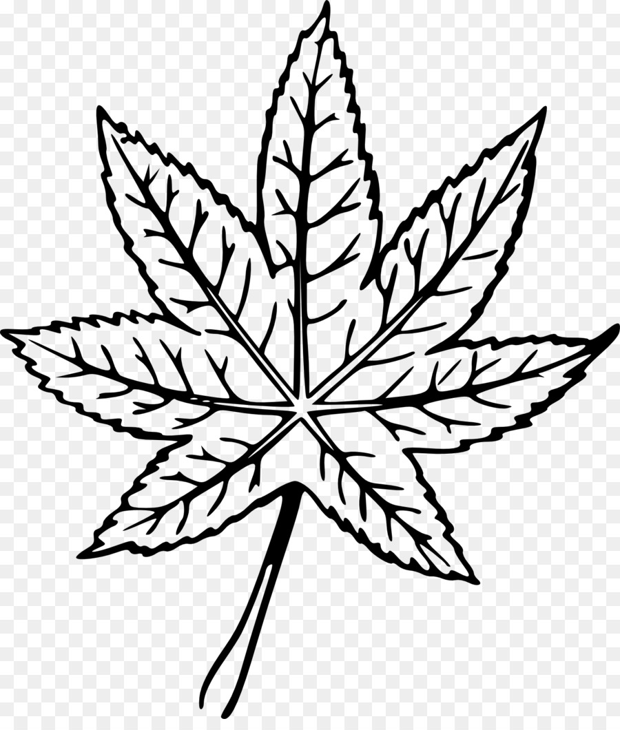 900x1060 Leaf Line Art Drawing